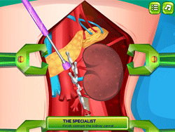 Princess Kidney Transplant - Management & Simulation - POG.COM