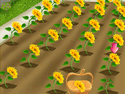 Clara Flower: Farming Game