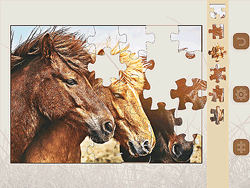 Jigsaw Puzzle: Horses Edition